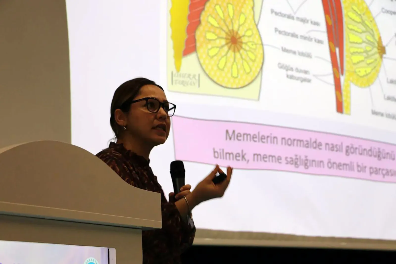 Sakarya'da Meme Kanseri Bilgilendirme Semineri: Uzmanlardan Erken Teşhis İpuçları